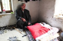 Van'da 85 Yaşındaki Şahıs İkiz Babası Oldu