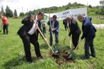 DOĞANTEPE - Başiskele'ye 4 Bin Ağaç Dikildi