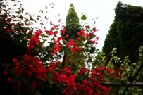 SEYHAN NEHRİ - Botanik Bahçesi Gibi Cami