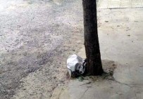 ŞÜPHELİ ÇANTA - Cadde Üzerine Bırakılan Bayan Çantası Korkuttu