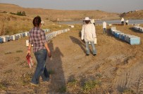 ORGANİK BAL - Cizre'de, 375 Adet Arılı Kovan Dağıtıldı