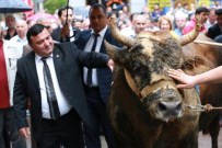 İSRAFİL KIŞLA - İspanya Değil Artvin