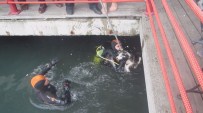 SOKAK KÖPEĞİ - Kocaeli'de Denize Düzeşen Köperk İtfaiye Tarafından Kurtarıldı