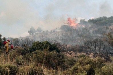 Muğla'da Makilik Alanda Yangın