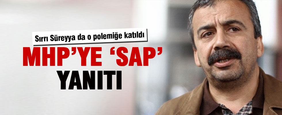 Sırrı Süreyya Önder'den sap sözüne yanıt