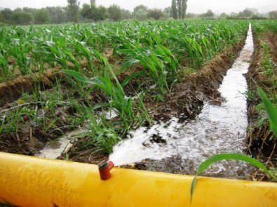 Beydağ Sulaması'nda Hidrant Sayısı 476'Ya Yükseldi