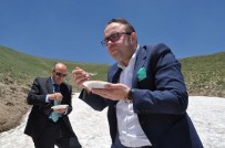 KRATER GÖLÜ - Bitlis'te Doğal Dondurma Karlı Pekmez Keyfi