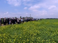 BILGE AKTAŞ - Eskişehir'de 'Tarla Günü' Etkinliği