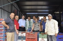 Güldal'dan Kemalpaşa'ya Tesis Desteği