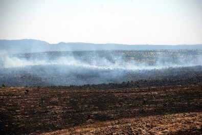 Midyat'ta Anız Yangını