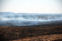 OĞUZHAN BINGÖL - Midyat'ta Anız Yangını