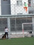 DAYAK - Köpekle Tehdit Edilen Çocuk Tel Örgülere Tırmanıp Kaçtı