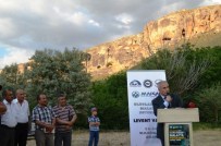 Vadide, Kamp Başladı