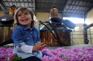 1. Güneykent Gül Ve Hasat Festivali