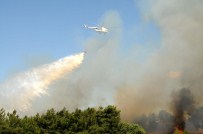 ORMAN İŞÇİSİ - Çanakkale'de Orman Yangını