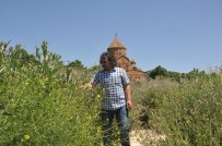 AKDAMAR ADASı - Tavşanlar Gitti Ada Yeşillendi