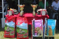 Atış Meraklıları Trap Turnuvasında Buluştu