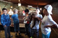 GIDA HATTI - Çanakkale'de, 'Lider Çocuk Tarım Kampı' Etkinliği
