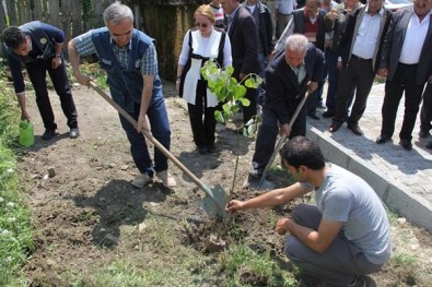 Dinçer, Çatalzeytin Paşalı Köyünü Ziyaret Etti