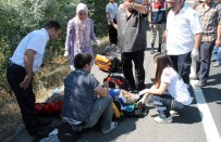 ALEYNA - Elazığ'da Otomobil Direğe Çarptı Açıklaması 7 Yaralı