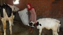 İvrindili Elif Hanım, 'Önder Çiftçi' Oldu