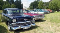 KLASİK OTOMOBİL - Klasik Otomobil Sevdalıları Piknikte Buluştu