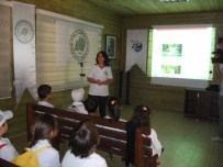 CELALETTIN YÜKSEL - Marmaris'te Öğrencilere Çevre Bilinci Aşılandı