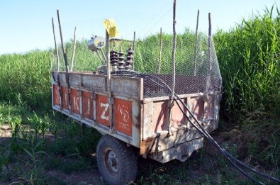 Mısır tarlasında traktör römorkunda kaçak trafo yakalandı