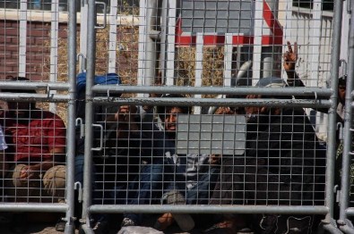 Telabyad'dan Göç Sürüyor