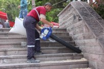 SİGARA İZMARİTİ - 10 Gün Temizlenmeyen Yozgat Cumhuriyet Meydanı Çöp Deryasına Dönüştü