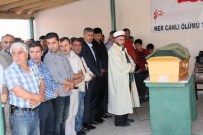 KADIR PERÇI - Erzincan'daki Trafik Kazası