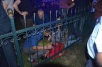 ERCAN CANDAN - Fatsa'da Trafik Kazası Açıklaması 2 Yaralı