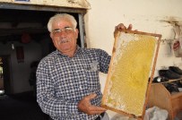 -İmecikli Balcılar Bu Yıl Mutlu