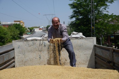 Polatlı'da Yılın İlk Arpası 3 Liradan Alıcı Buldu