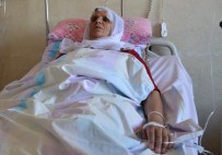 KANSER TEŞHİSİ - Tatvan'da Kalın Bağırsak Kanseri Ameliyatı