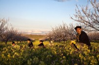 FATIH ÖZDEMIR - 'Yeşilyurt Her Mevsim Güzel' İlkbahar Fotoğraf Yarışması Tamamlandı
