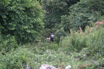 50 Metre Uçurumdan Aşağıya Düşen Otomobilde Can Pazarı