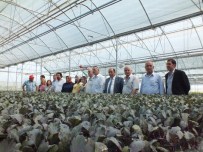 SARıKÖY - Bafra Ziraat Odası'ndan Ücretsiz Danışmanlık Hizmeti