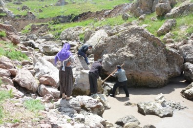 Cesedi Bir Hafta Sonra Bulundu