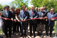 ALIM BARUT - Sivas'ta Tomoterapi Ünitesi Hizmete Açıldı