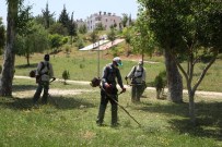 HAMIT TUNA - Toroslar'da Park Ve Yeşil Alanların Bakım Çalışmaları Hızlandı