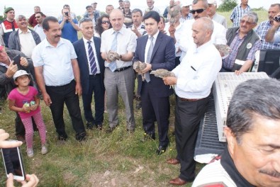 Kırıkkale'de 750 Adet Keklik Doğaya Bırakıldı