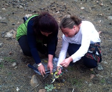 Muğla Ve Aydın'ın Endemik Bitki Haritası Çıkarılıyor