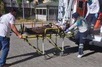 Adıyaman'da Trafik Kazası Açıklaması 1 Yaralı