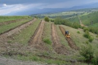 Buror Teras İle Ağaçlandırma Daha Kolaylaştı