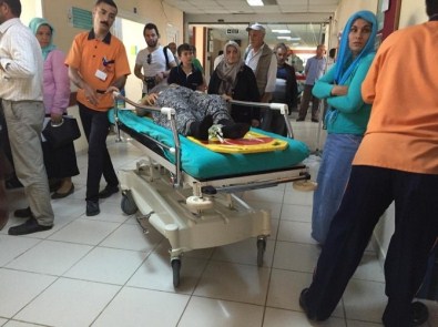 Fatsa'da Ağaçtan Düşme Vakaları Açıklaması 3 Yaralı