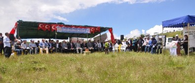 Meralar Şenleniyor…