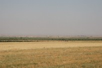 KONTEYNER KENT - Sınırın Suriye Tarafında Sessizlik