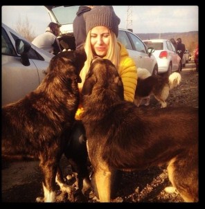 Toplanan Bağışlar Sokak Hayvanlarına Umut Oluyor