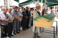 KEMAL CIRIT - Artvin'deki Trafik Kazası